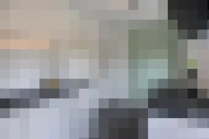 Schotkampseweg 2 Heerde thumbnail 20