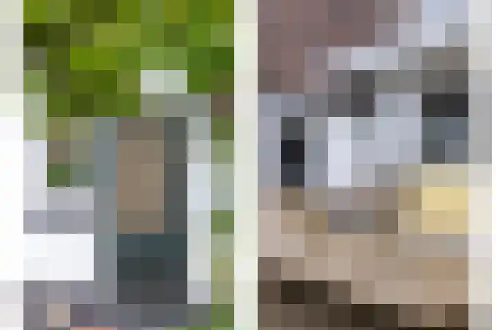Schotkampseweg 2 Heerde thumbnail 39