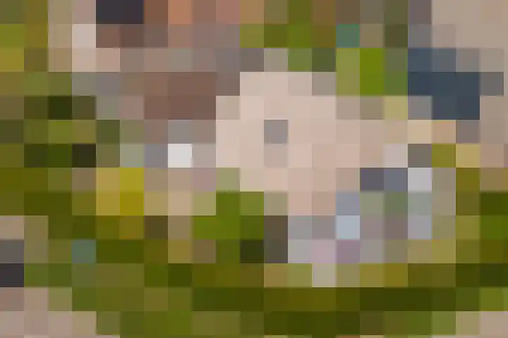 Schotkampseweg 2 Heerde thumbnail 4