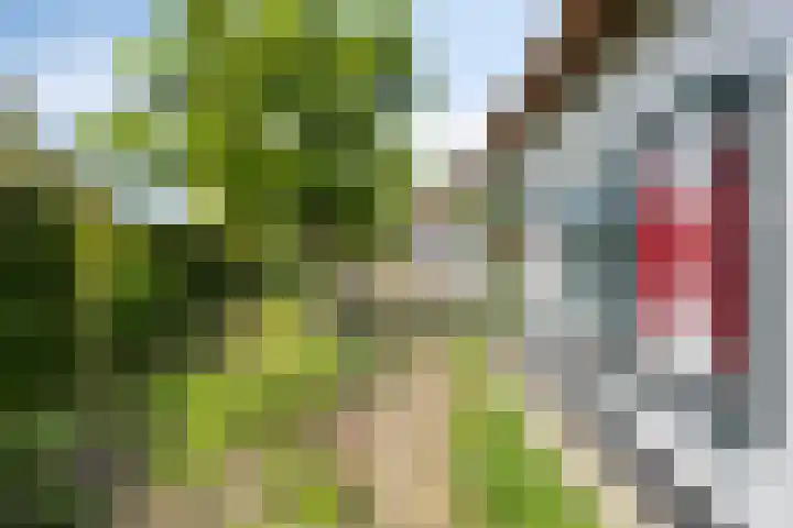 Schotkampseweg 2 Heerde thumbnail 41