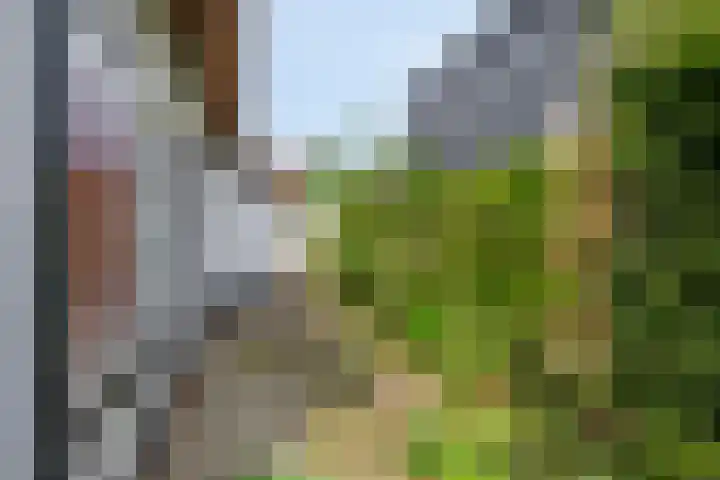 Schotkampseweg 2 Heerde thumbnail 42
