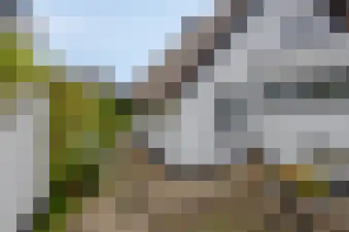Schotkampseweg 2 Heerde thumbnail 44