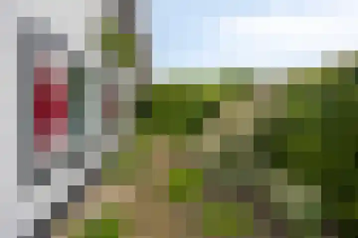 Schotkampseweg 2 Heerde thumbnail 46