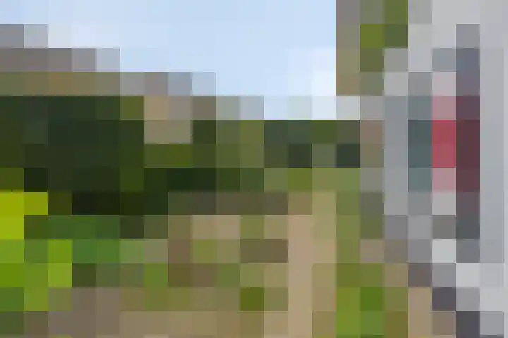 Schotkampseweg 2 Heerde thumbnail 47