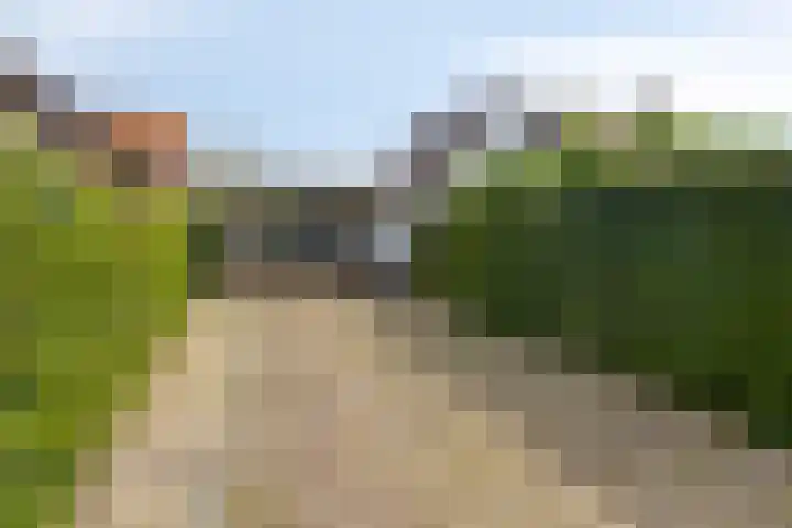 Schotkampseweg 2 Heerde thumbnail 5