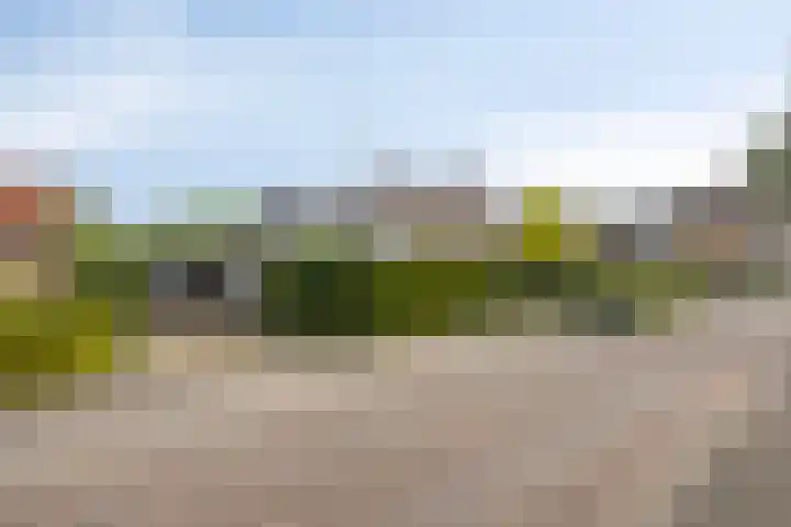 Schotkampseweg 2 Heerde thumbnail 50