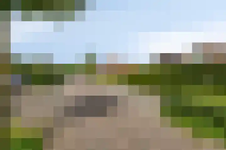 Schotkampseweg 2 Heerde thumbnail 51
