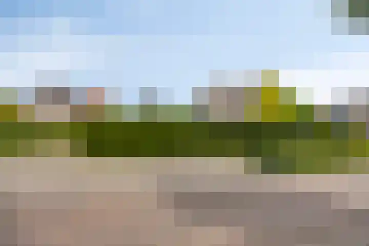 Schotkampseweg 2 Heerde thumbnail 52