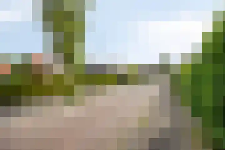 Schotkampseweg 2 Heerde thumbnail 53