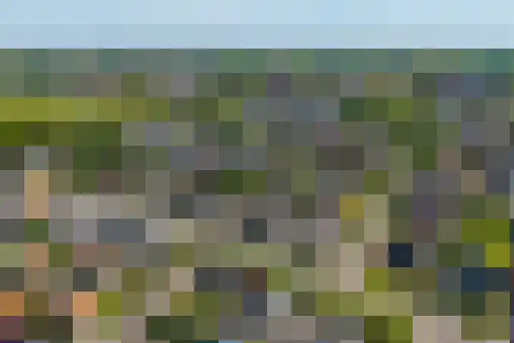 Schotkampseweg 2 Heerde thumbnail 56