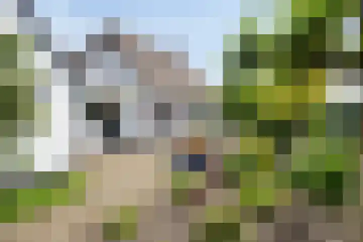 Schotkampseweg 2 Heerde thumbnail 6