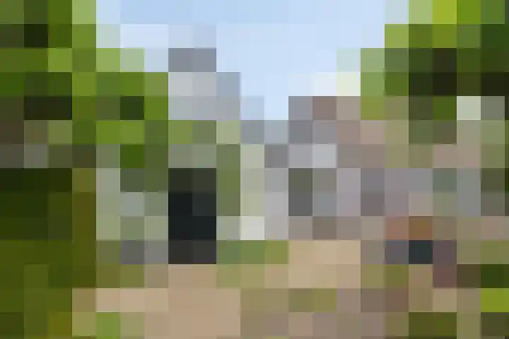 Schotkampseweg 2 Heerde thumbnail 64
