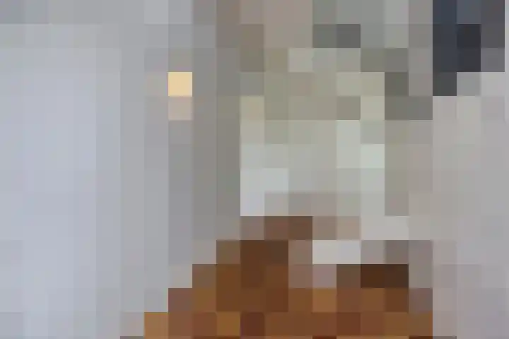 Schotkampseweg 2 Heerde thumbnail 7