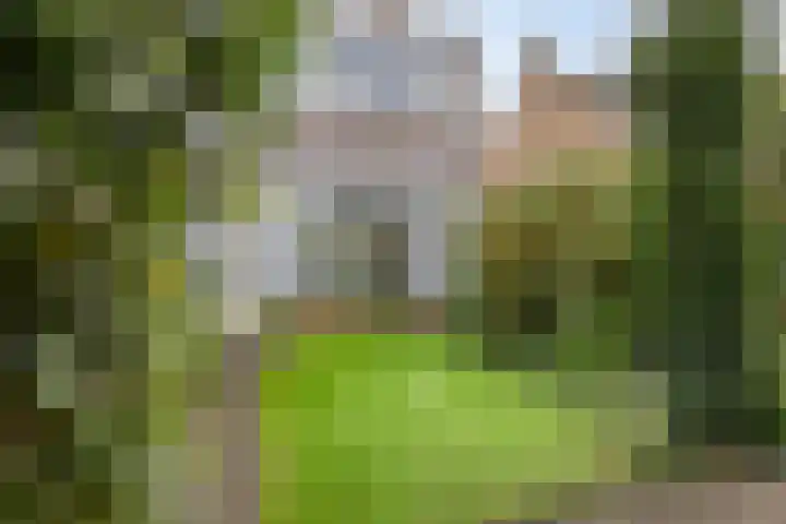Schotkampseweg 28 Heerde thumbnail 16