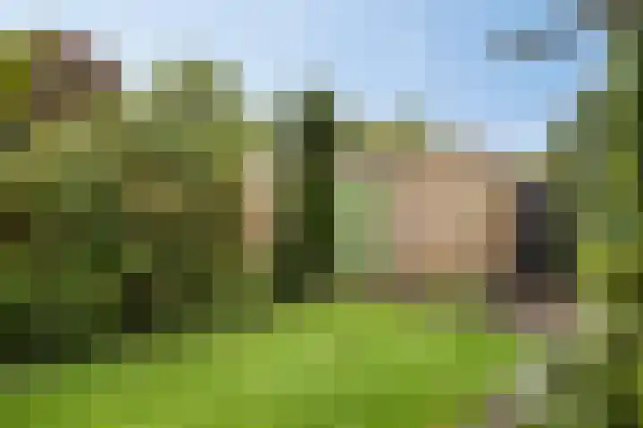 Schotkampseweg 28 Heerde thumbnail 17