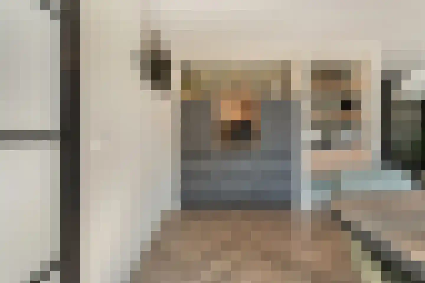 Schotlaan 32 Hardenberg thumbnail 17