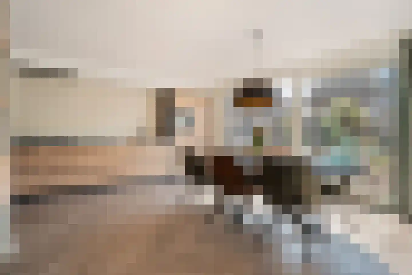 Schotlaan 32 Hardenberg thumbnail 4