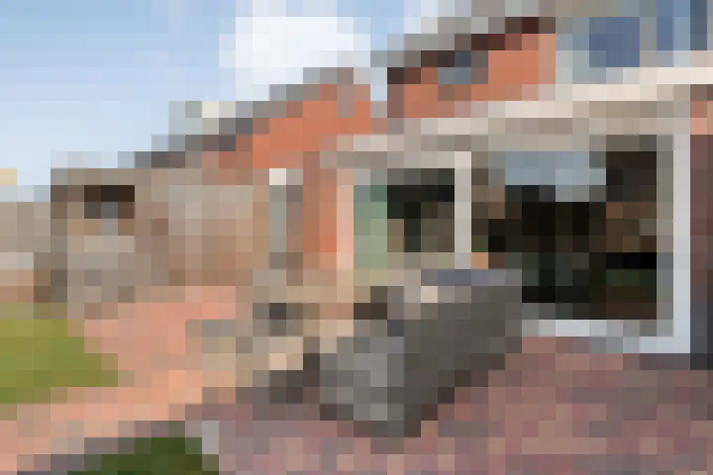 Schotlaan 32 Hardenberg thumbnail 47