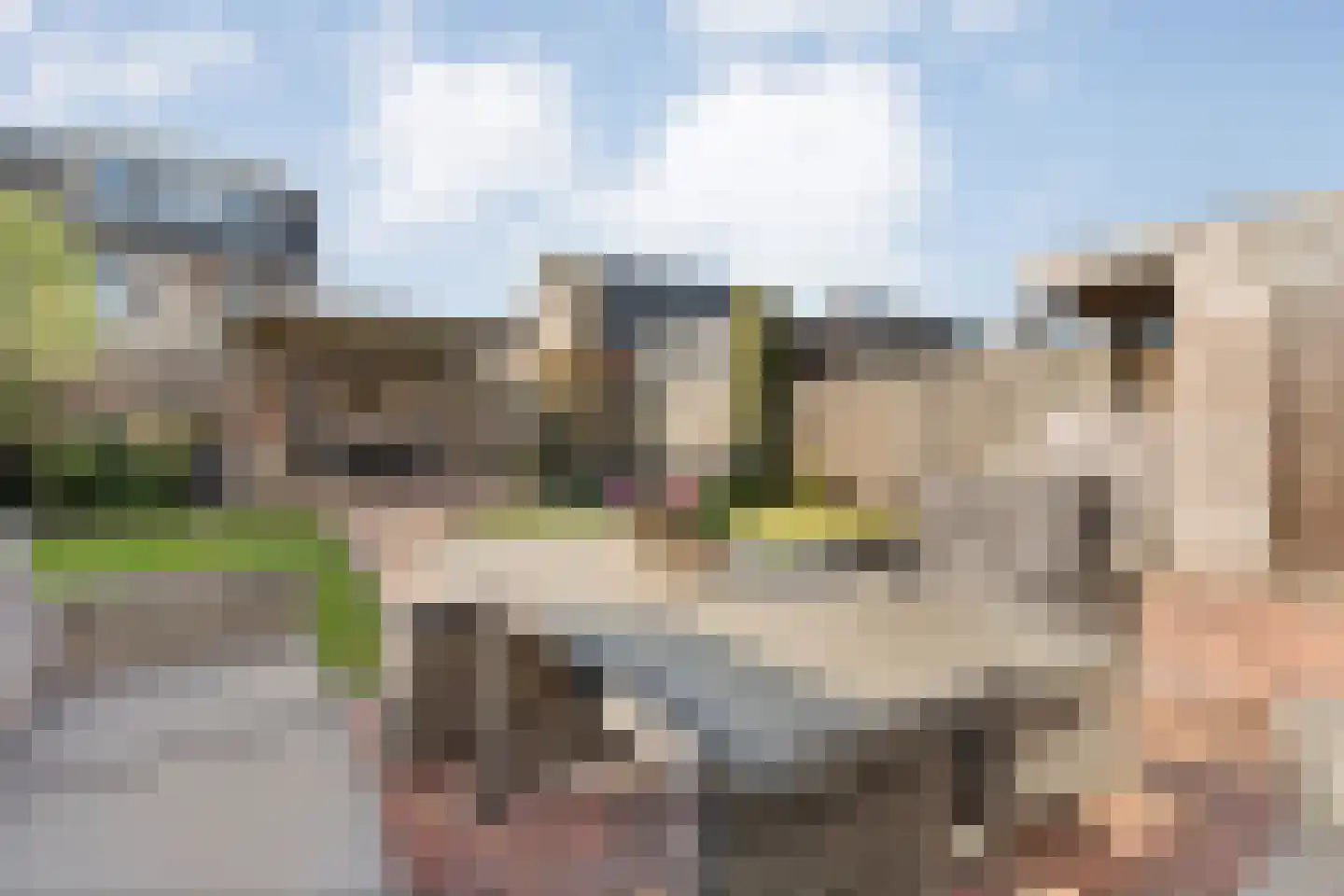 Schotlaan 32 Hardenberg thumbnail 53