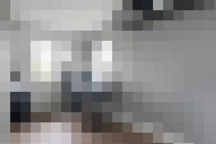 Schotlaan 8 Hardenberg thumbnail 17