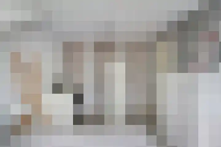Schotlaan 8 Hardenberg thumbnail 24
