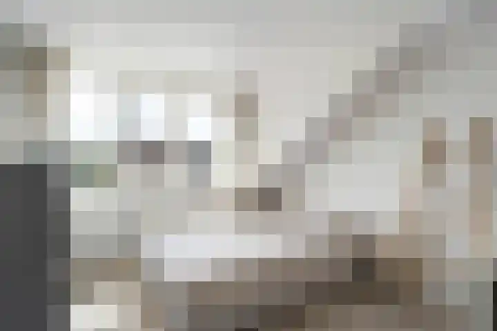 Schotlaan 8 Hardenberg thumbnail 25