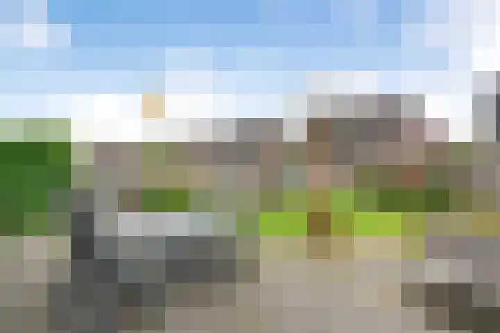 Schotlaan 8 Hardenberg thumbnail 26