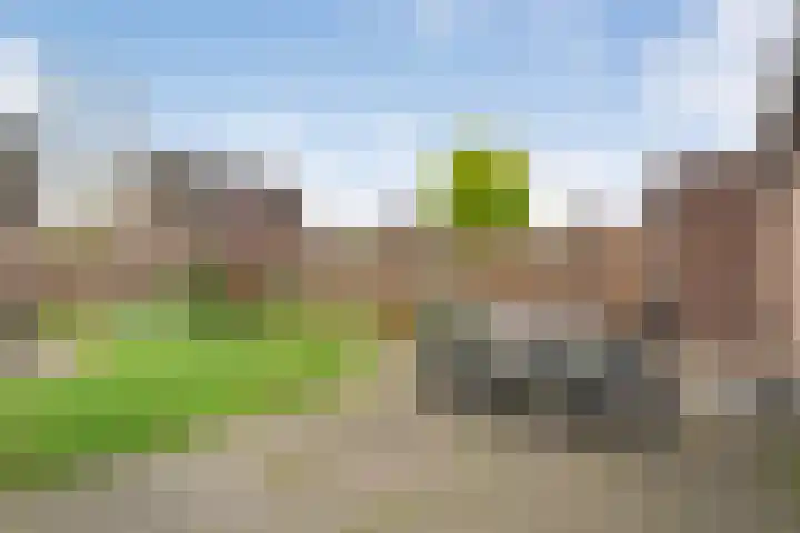 Schotlaan 8 Hardenberg thumbnail 27