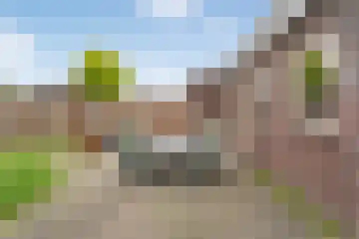 Schotlaan 8 Hardenberg thumbnail 28