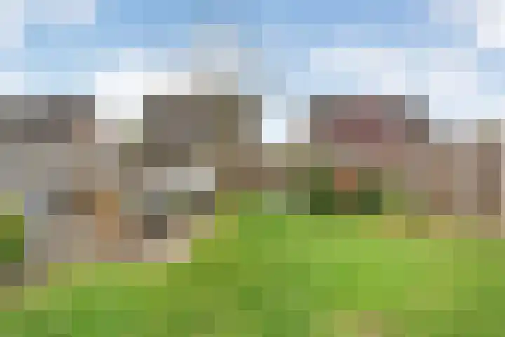Schotlaan 8 Hardenberg thumbnail 29