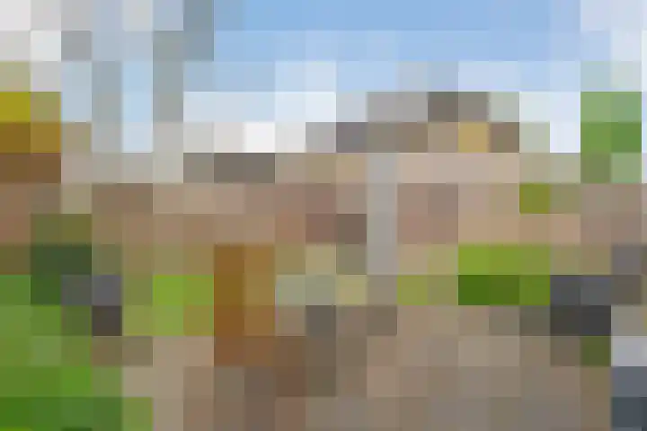 Schotlaan 8 Hardenberg thumbnail 30