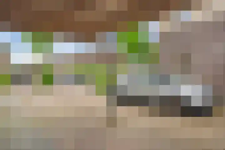 Schotlaan 8 Hardenberg thumbnail 33