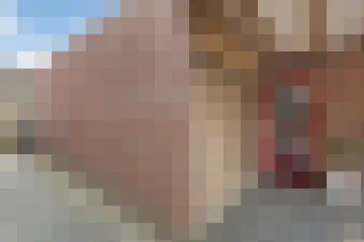 Schotlaan 8 Hardenberg thumbnail 35