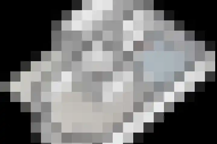 Schotlaan 8 Hardenberg thumbnail 38