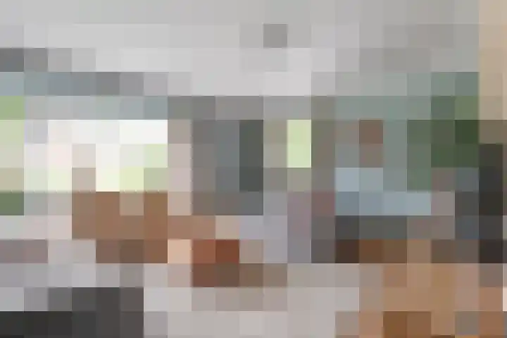 Schotlaan 8 Hardenberg thumbnail 4