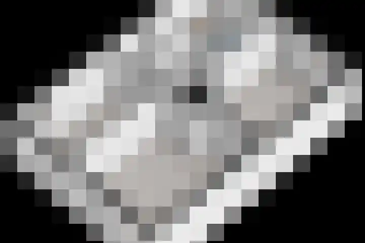 Schotlaan 8 Hardenberg thumbnail 40