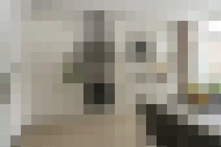 Schotlandlaan 14 Stadskanaal thumbnail 14