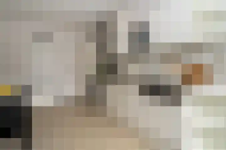 Schotlandlaan 14 Stadskanaal thumbnail 15