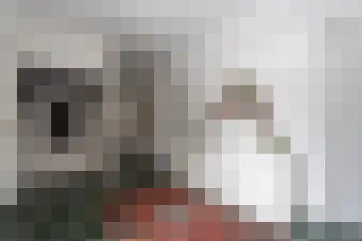 Schotlandlaan 14 Stadskanaal thumbnail 19