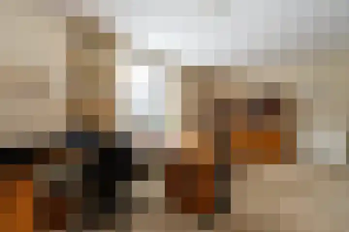 Schotlandlaan 14 Stadskanaal thumbnail 23