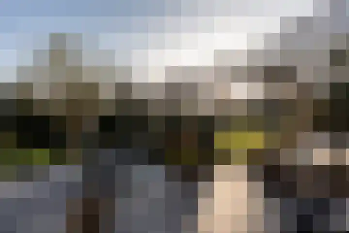 Schotlandlaan 14 Stadskanaal thumbnail 43