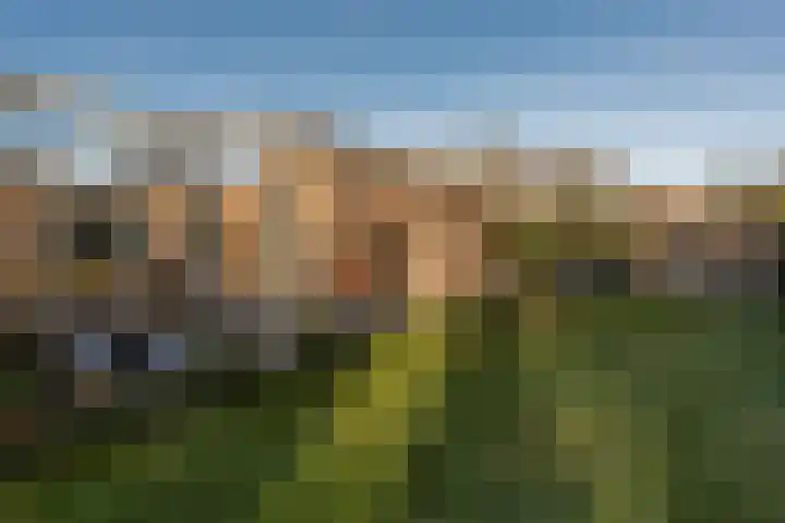 Schotlandlaan 14 Stadskanaal thumbnail 44