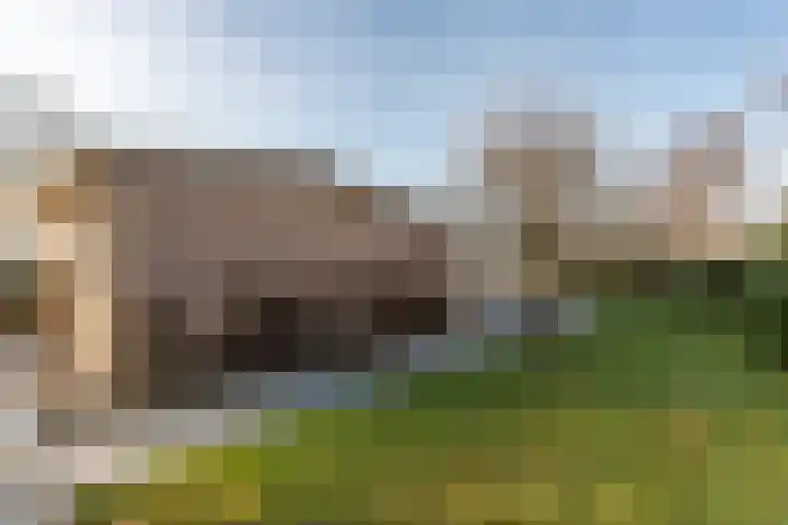 Schotlandlaan 14 Stadskanaal thumbnail 47