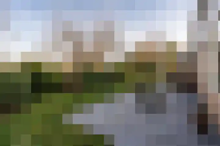 Schotlandlaan 14 Stadskanaal thumbnail 49