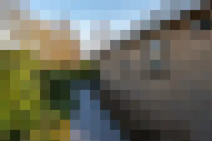 Schotlandlaan 14 Stadskanaal thumbnail 50