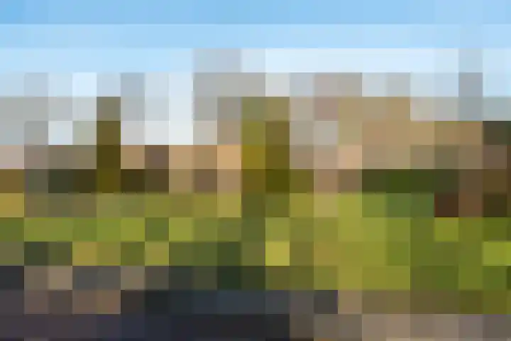 Schotlandlaan 14 Stadskanaal thumbnail 52