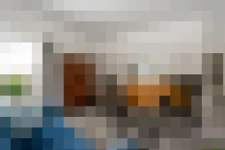 Schotlandlaan 14 Stadskanaal thumbnail 7