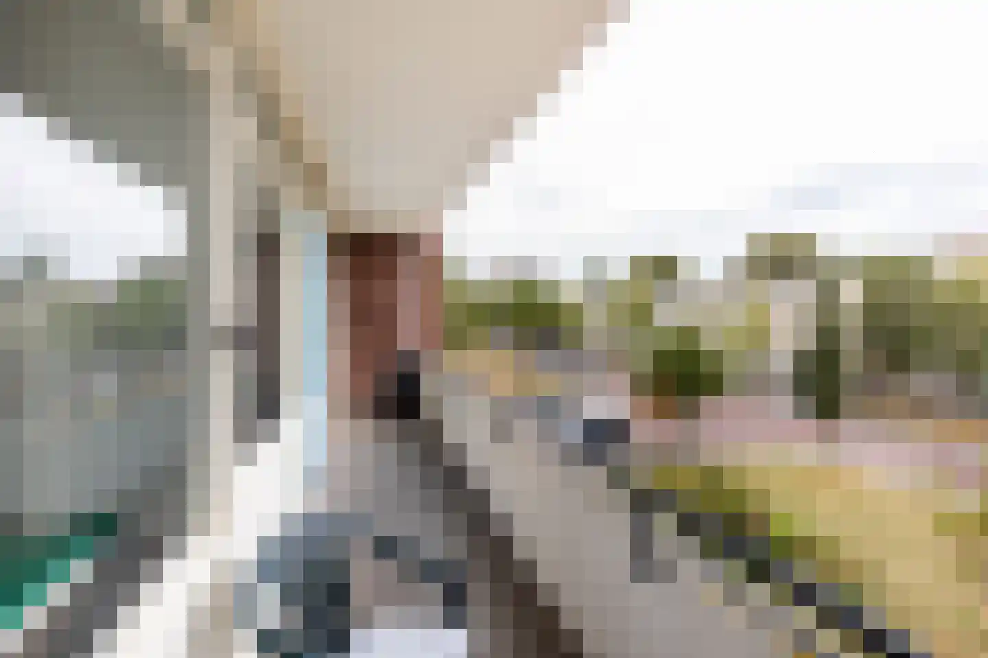 Schotlandstraat 15 Haarlem thumbnail 21