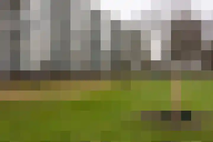 Schotlandstraat 2 Haarlem thumbnail 23
