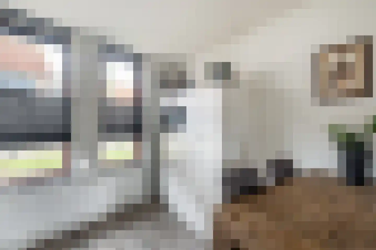 Schotlandstraat 22 Bergen op Zoom thumbnail 14